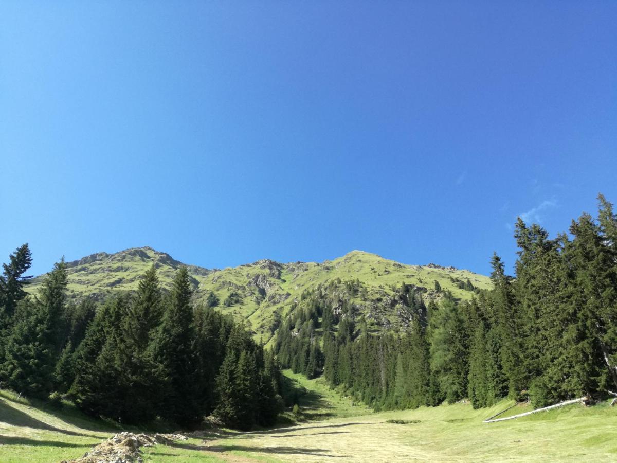 شقة Bichlerhof هوبفغارتن ان ديفر المظهر الخارجي الصورة